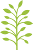 Sarah Dawn Massage Therapy logo